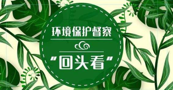 中央生态环保督察组“回头看”转办第十五批101件群众举报案件