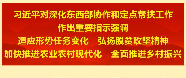 习近平对深化东西部协作和定点帮扶工作作出重要指示强调 适应形势任务变化 弘扬脱贫攻坚精神 加快推进农业农村现代化 全面推进乡村振兴