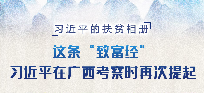 习近平的扶贫相册|这条“致富经”，习近平在广西考察时再次提起