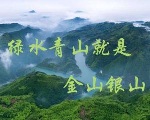 做好绿水青山就是金山银山