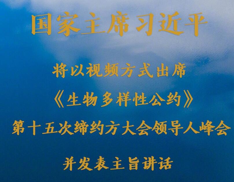 习近平将出席《生物多样性公约》第十五次缔约方大会领导人峰会