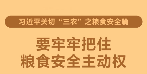 习近平关切“三农”之粮食安全篇 要牢牢把住粮食安全主动权