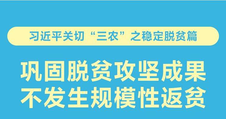 巩固脱贫攻坚成果 不发生规模性返贫