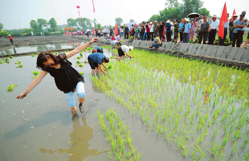 qq浏览器截屏未命名.jpg